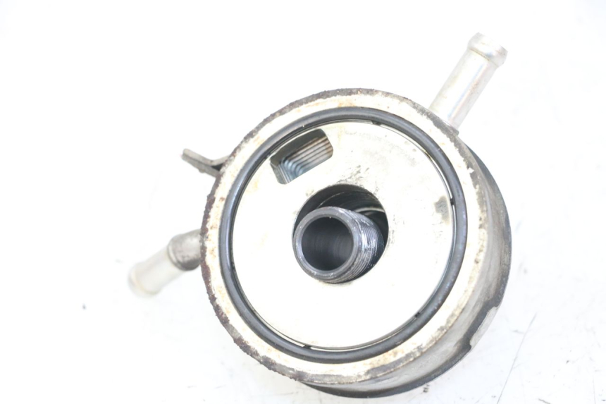photo de RADIATEUR HUILE YAMAHA FZS FAZER 600 (2001 - 2003)