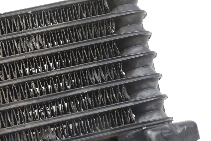 photo de RADIATEUR HUILE KAWASAKI ZZR 600 (1995 - 2004) - Vue d’ensemble