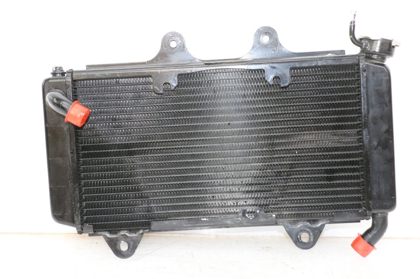 photo de RADIATEUR HUSQVARNA SVARTPILEN 401 (2018 - 2023)