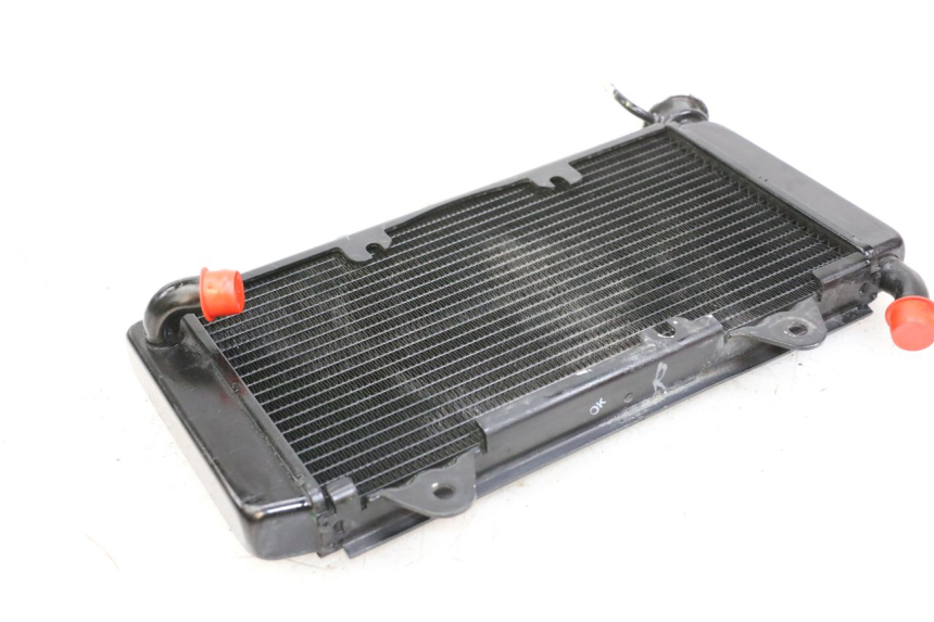 photo de RADIATEUR HUSQVARNA SVARTPILEN 401 (2018 - 2023)