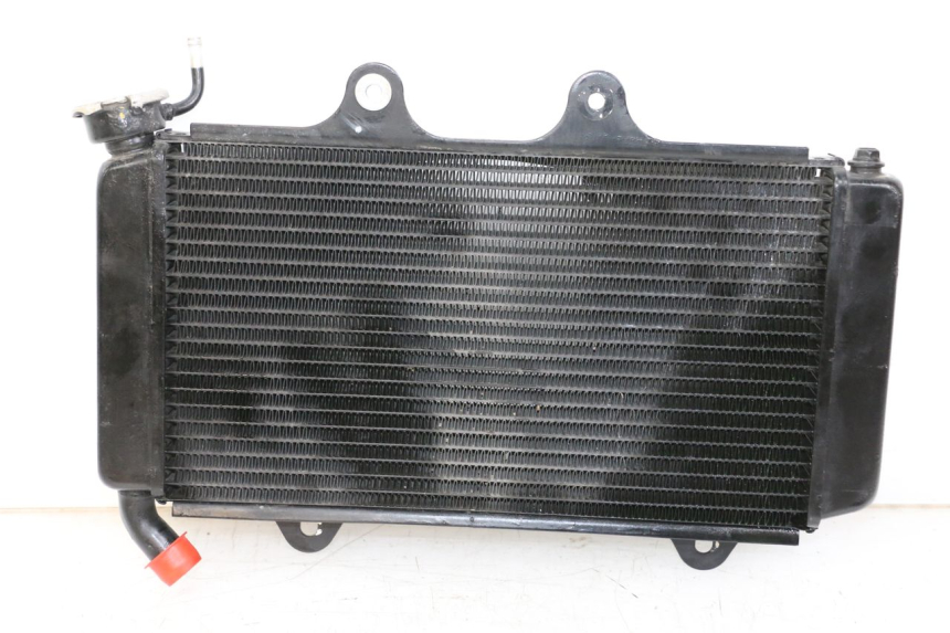 photo de RADIATEUR HUSQVARNA SVARTPILEN 401 (2018 - 2023)