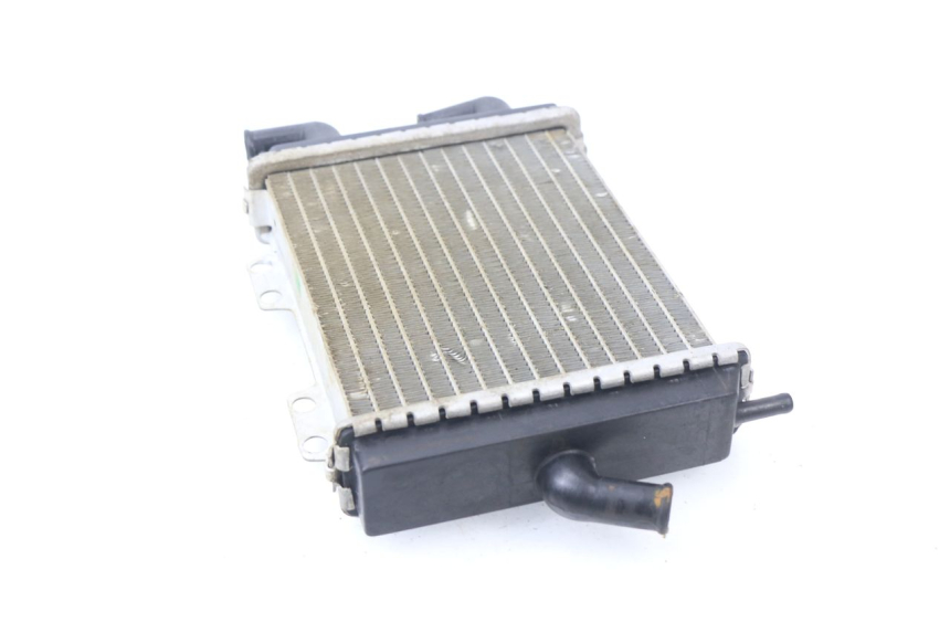 photo de RADIATEUR PEUGEOT JET FORCE CARBU 50 (2003 - 2016)