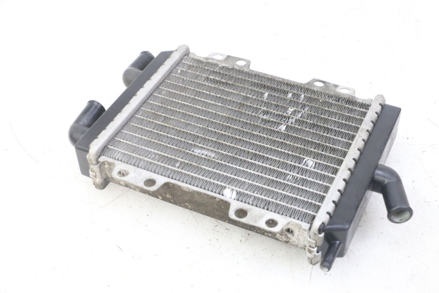 photo de RADIATEUR PEUGEOT JET FORCE CARBU 50 (2003 - 2016)