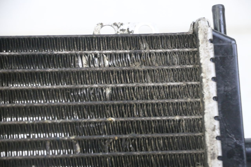 photo de RADIATEUR PEUGEOT JET FORCE CARBU 50 (2003 - 2016)