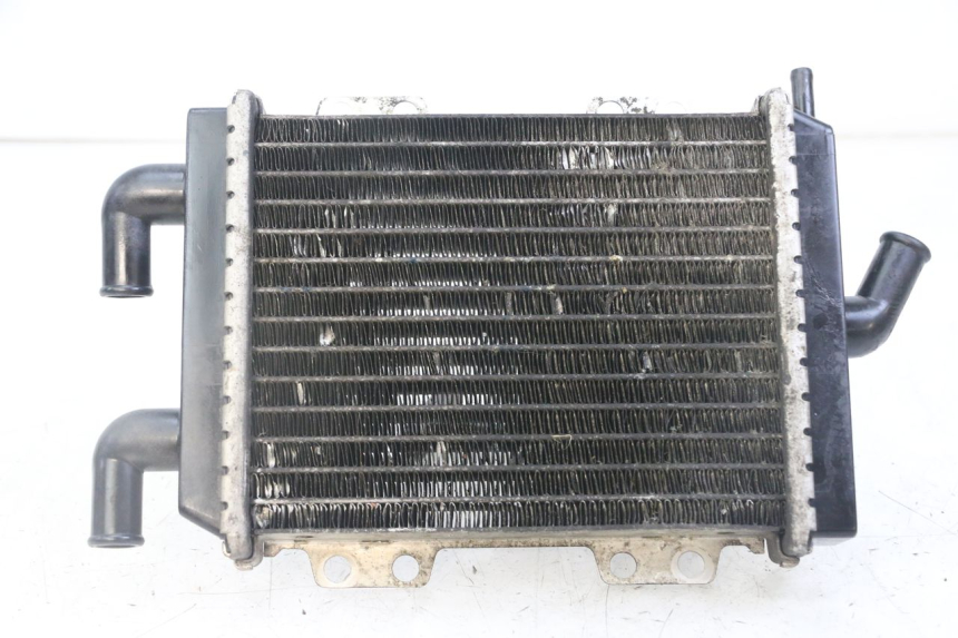 photo de RADIATEUR PEUGEOT JET FORCE CARBU 50 (2003 - 2016)