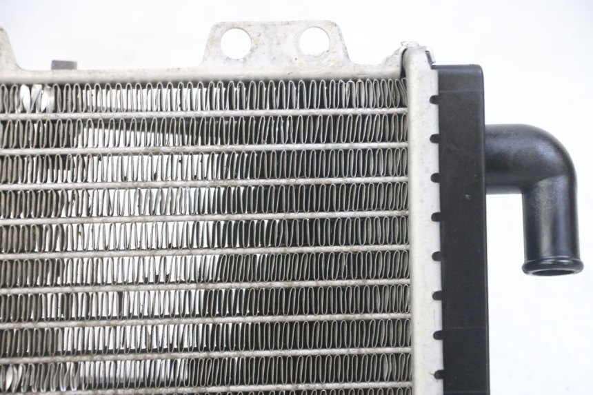 photo de RADIATEUR PEUGEOT JET FORCE CARBU 50 (2003 - 2016)