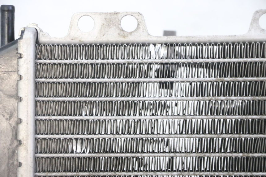 photo de RADIATEUR PEUGEOT JET FORCE CARBU 50 (2003 - 2016)
