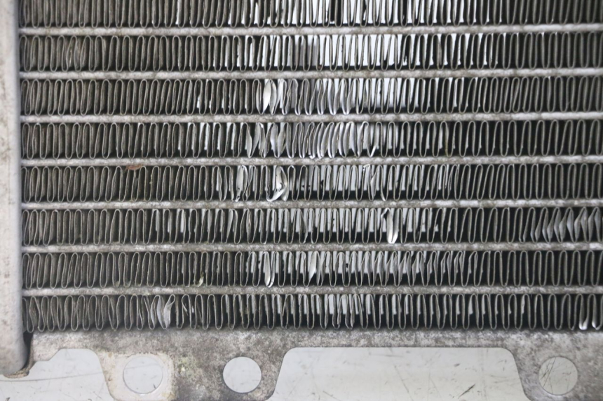 photo de RADIATEUR PEUGEOT JET FORCE CARBU 50 (2003 - 2016)