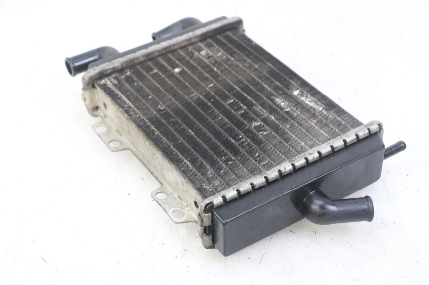 photo de RADIATEUR PEUGEOT JET FORCE CARBU 50 (2003 - 2016)