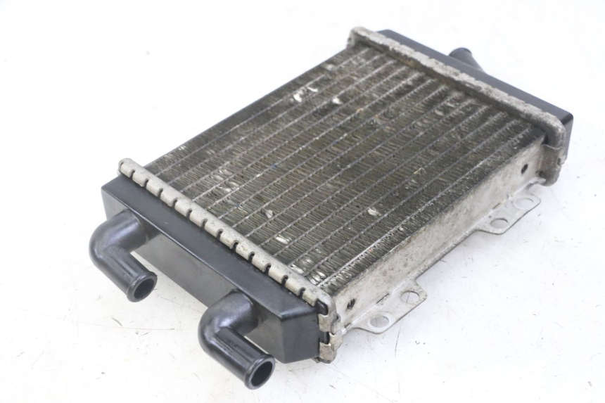 photo de RADIATEUR PEUGEOT JET FORCE CARBU 50 (2003 - 2016)