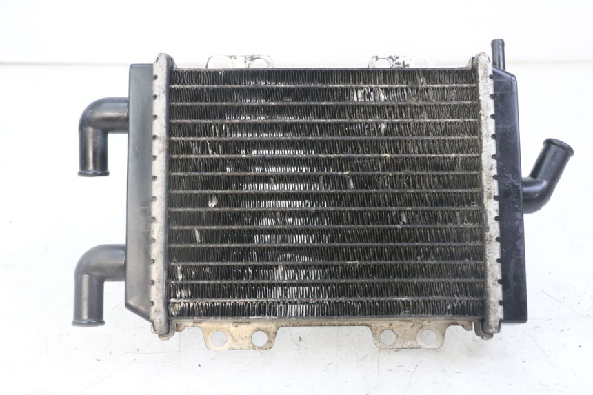 photo de RADIATEUR PEUGEOT JET FORCE CARBU 50 (2003 - 2016)
