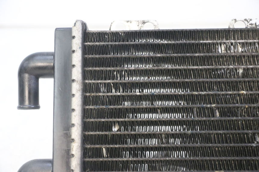 photo de RADIATEUR PEUGEOT JET FORCE CARBU 50 (2003 - 2016)