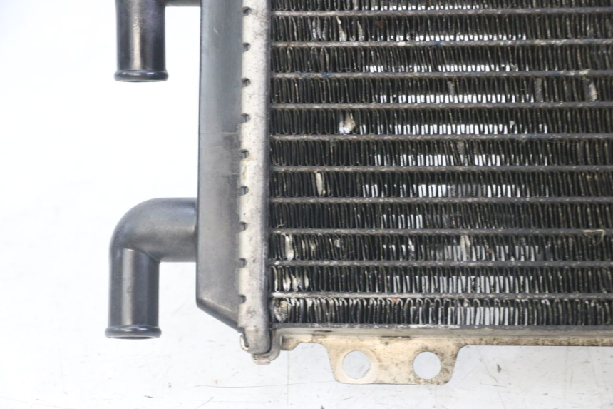photo de RADIATEUR PEUGEOT JET FORCE CARBU 50 (2003 - 2016)