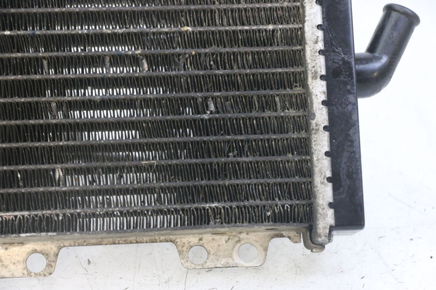 photo de RADIATEUR PEUGEOT JET FORCE CARBU 50 (2003 - 2016)