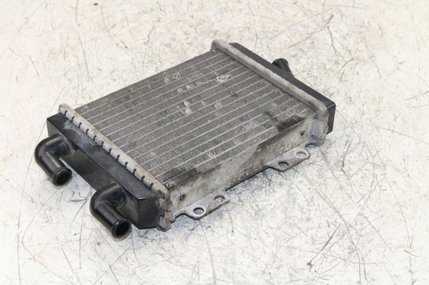 photo de RADIATEUR PEUGEOT JET FORCE TSDI 50 (2003 - 2009)