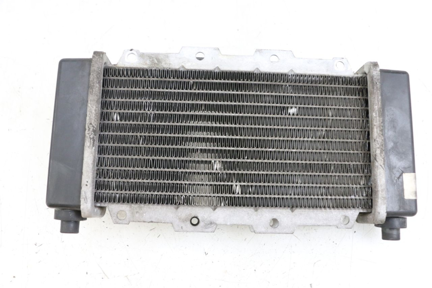photo de RADIATEUR SYM JOYRIDE EVO 125 (2009 - 2016)