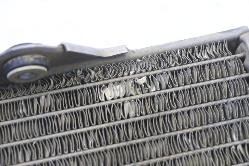 photo de RADIATEUR KAWASAKI KX 65 (2000 - 2019)