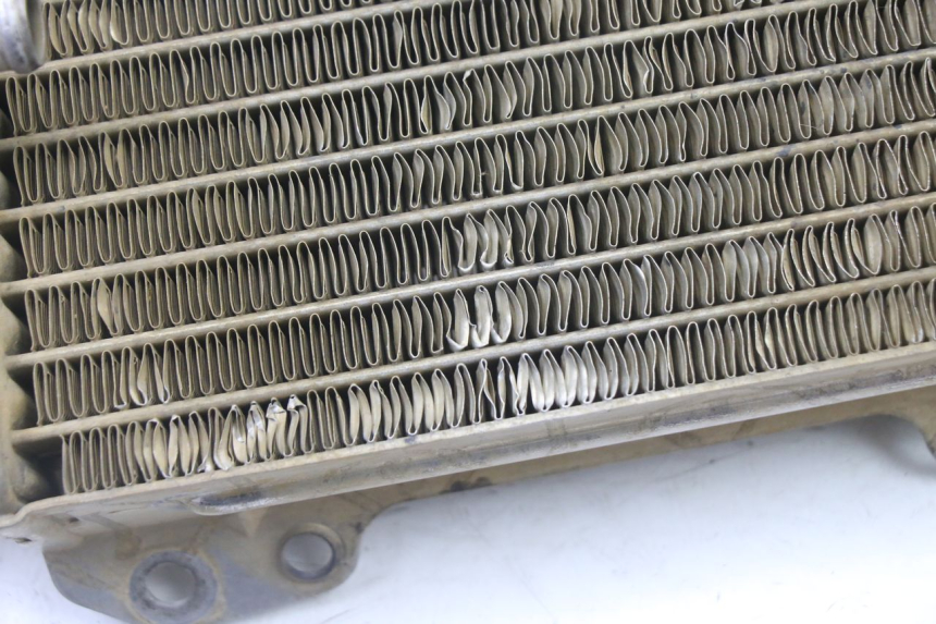 photo de RADIATEUR KAWASAKI KX 65 (2000 - 2019)