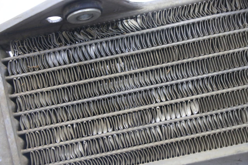 photo de RADIATEUR KAWASAKI KX 65 (2000 - 2019)