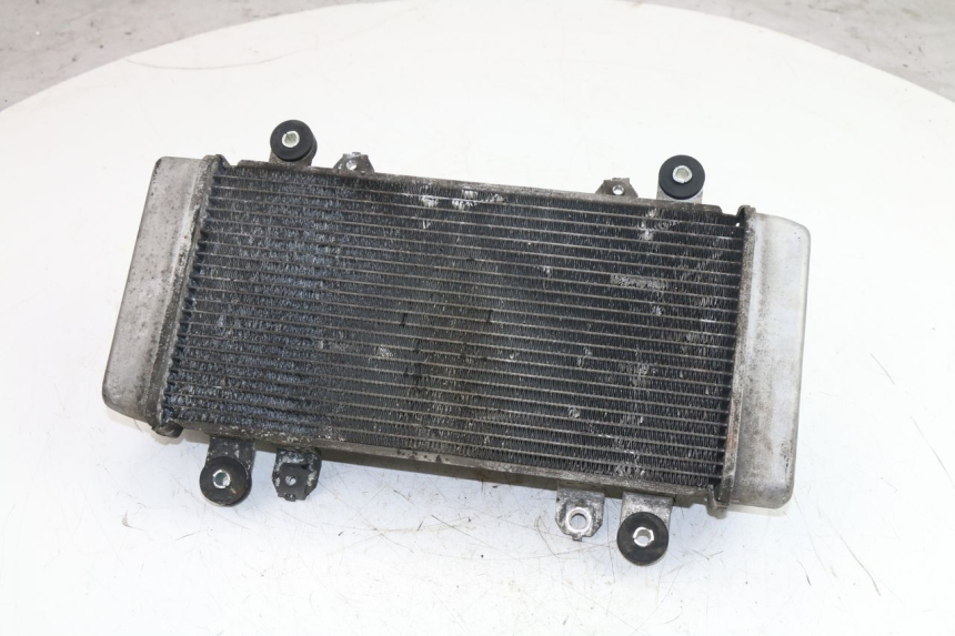 photo de RADIATEUR KAWASAKI NINJA 300 (2012 - 2017)