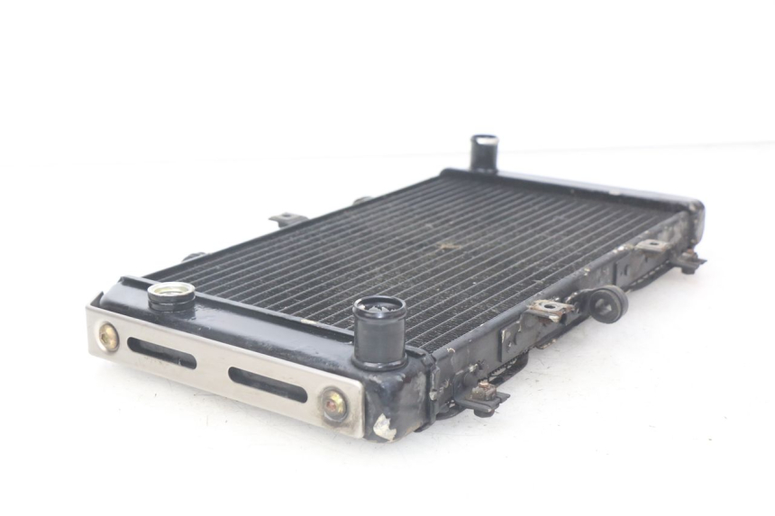 photo de RADIATEUR KAWASAKI Z S 750 (2003 - 2006)