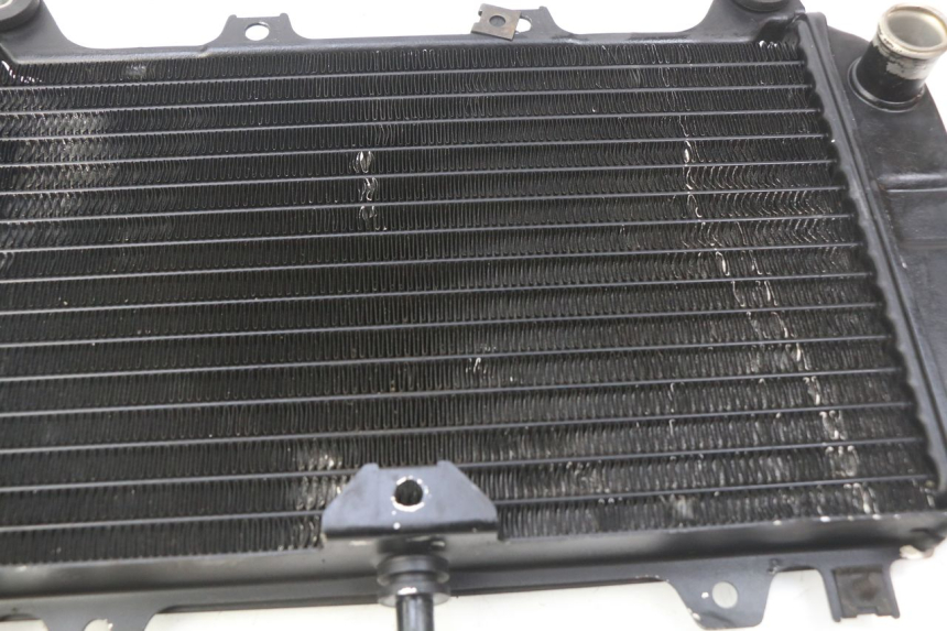 photo de RADIATEUR KAWASAKI ZZR 600 (1995 - 2004)