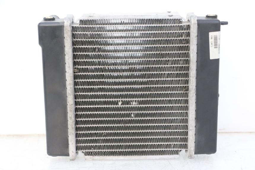 photo de RADIATEUR KYMCO GRAND DINK 125 (2008 - 2014)