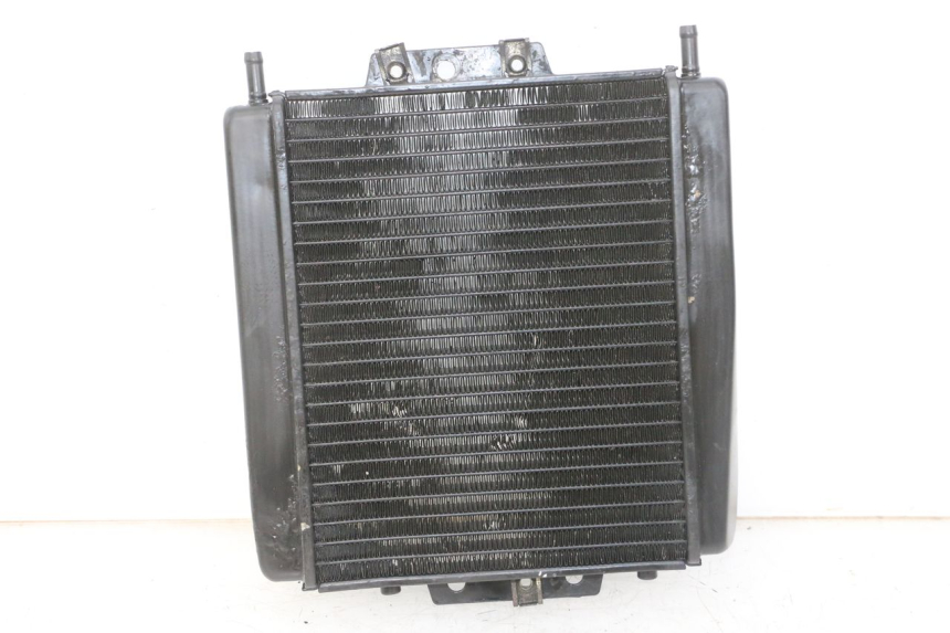 photo de RADIATEUR PIAGGIO MP3 LT 300 (2010 - 2016)