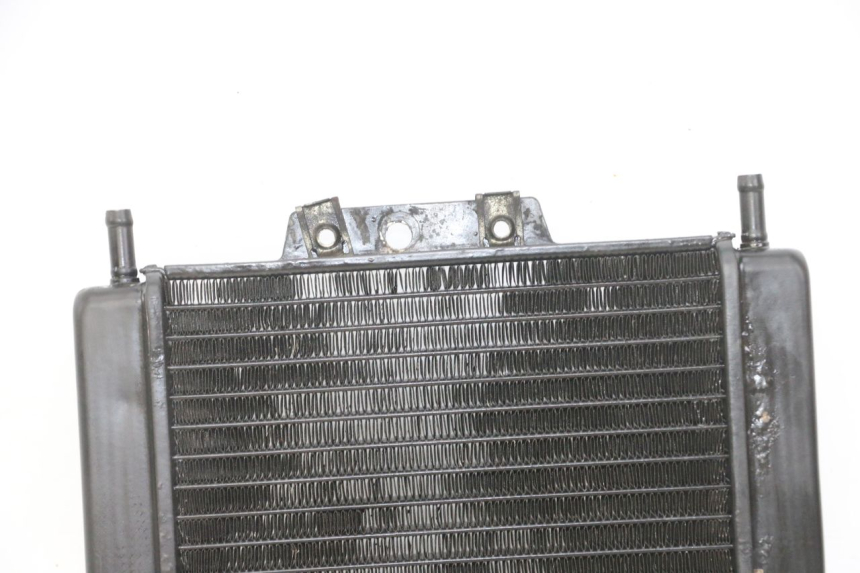 photo de RADIATEUR PIAGGIO MP3 LT 300 (2010 - 2016)