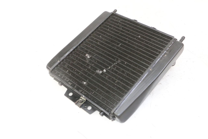 photo de RADIATEUR PIAGGIO MP3 LT 300 (2010 - 2016)