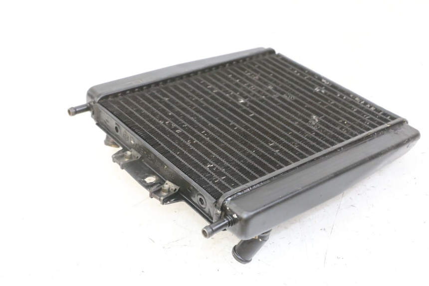 photo de RADIATEUR PIAGGIO MP3 LT 300 (2010 - 2016)