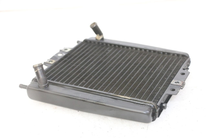 photo de RADIATEUR PIAGGIO MP3 LT 300 (2010 - 2016)