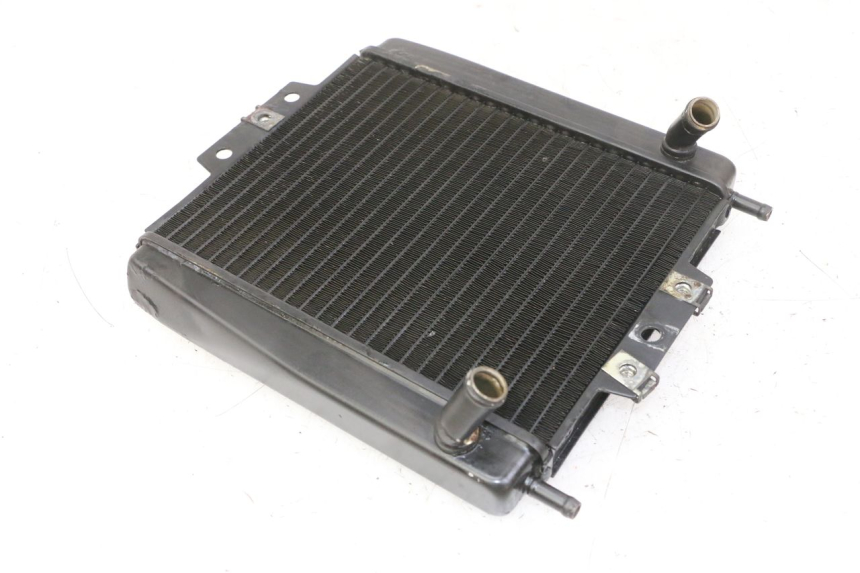 photo de RADIATEUR PIAGGIO MP3 LT 300 (2010 - 2016)