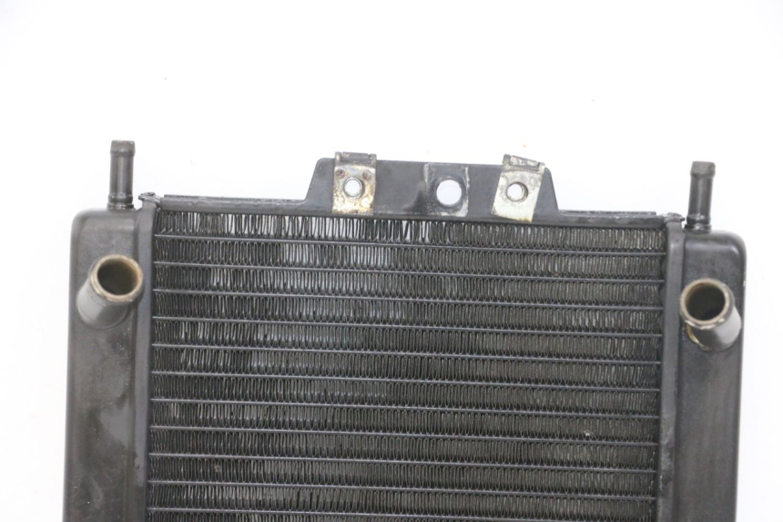 photo de RADIATEUR PIAGGIO MP3 LT 300 (2010 - 2016)