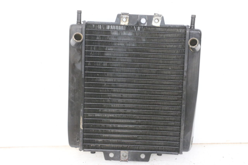 photo de RADIATEUR PIAGGIO MP3 LT 300 (2010 - 2016)