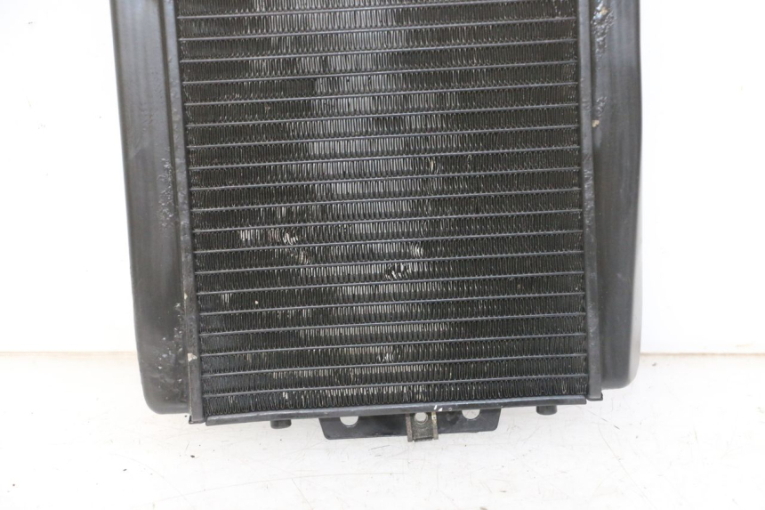 photo de RADIATEUR PIAGGIO MP3 LT 300 (2010 - 2016)
