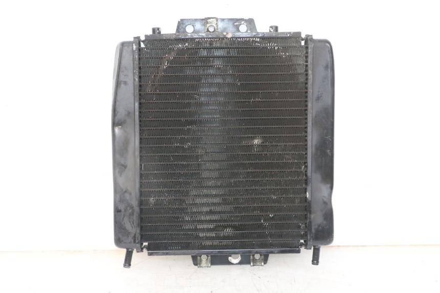 photo de RADIATEUR PIAGGIO MP3 LT 400 (2007 - 2012)