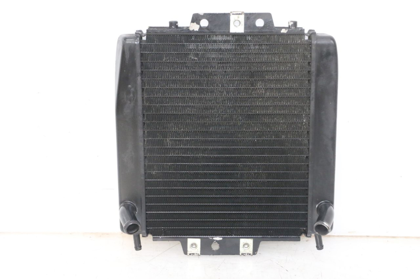 photo de RADIATEUR PIAGGIO MP3 LT 400 (2007 - 2012)