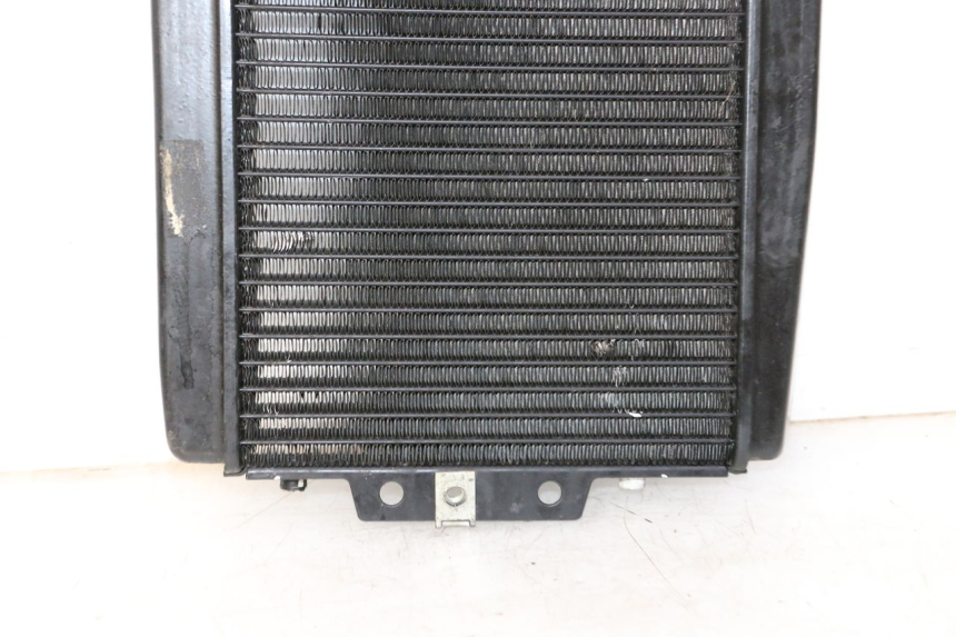 photo de RADIATEUR PIAGGIO MP3 LT 300 (2010 - 2016)