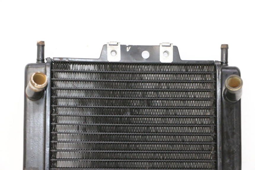 photo de RADIATEUR PIAGGIO MP3 LT 300 (2010 - 2016)