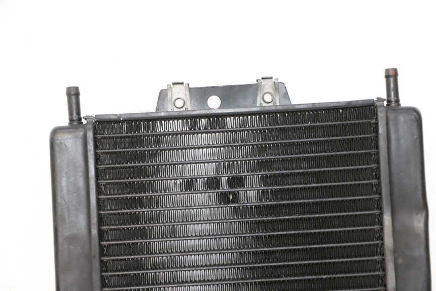 photo de RADIATEUR PIAGGIO MP3 LT 300 (2010 - 2016)