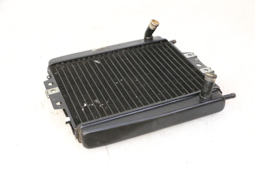 photo de RADIATEUR PIAGGIO MP3 LT 300 (2010 - 2016)