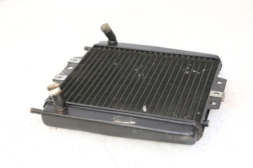 photo de RADIATEUR PIAGGIO MP3 LT 300 (2010 - 2016)