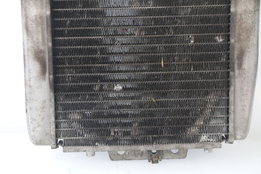 photo de RADIATEUR PIAGGIO MP3 125 (2006 - 2014)