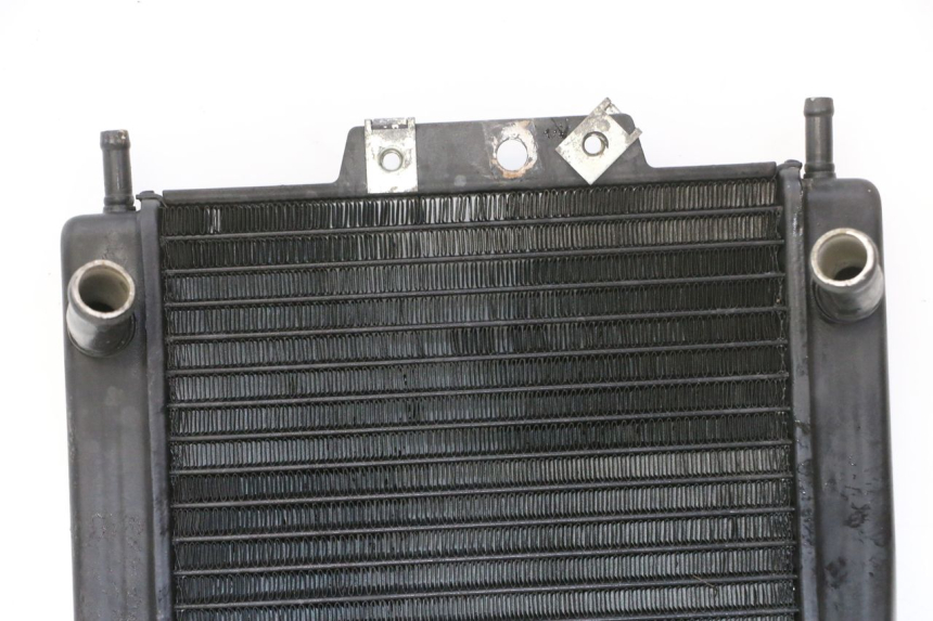 photo de RADIATEUR PIAGGIO MP3 RL 250 (2007 - 2010)