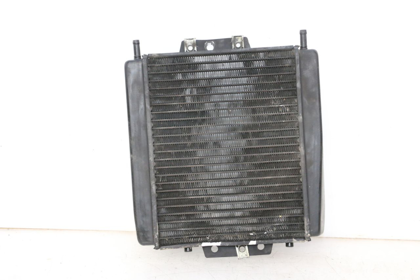 photo de RADIATEUR PIAGGIO MP3 500 (2011 - 2015)