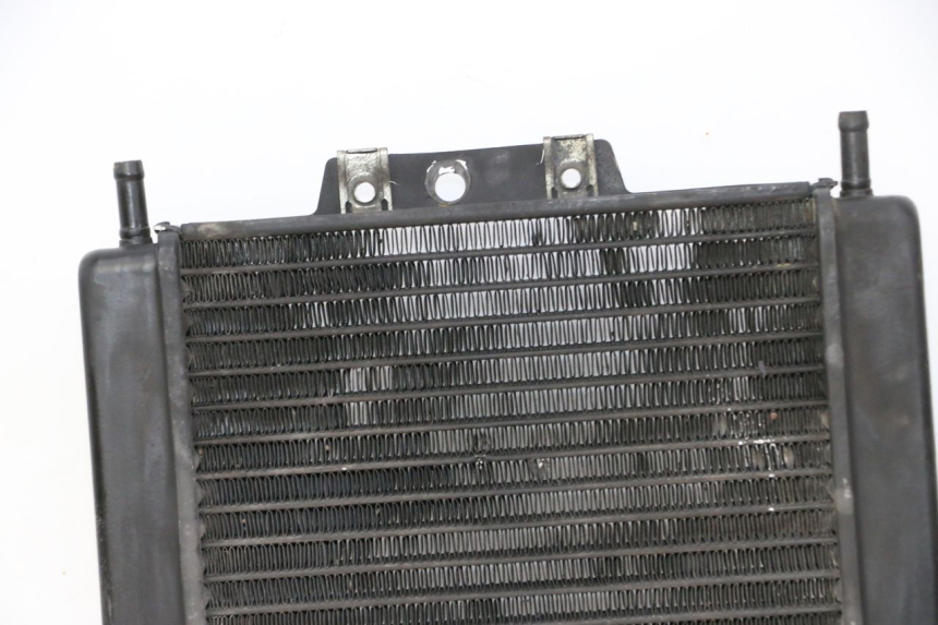photo de RADIATEUR PIAGGIO MP3 500 (2011 - 2015)
