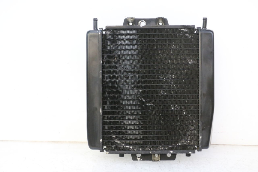 photo de RADIATEUR PIAGGIO MP3 RL 250 (2007 - 2010)