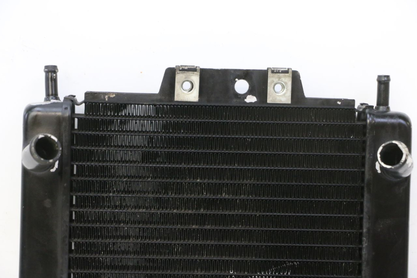 photo de RADIATEUR PIAGGIO MP3 RL 250 (2007 - 2010)