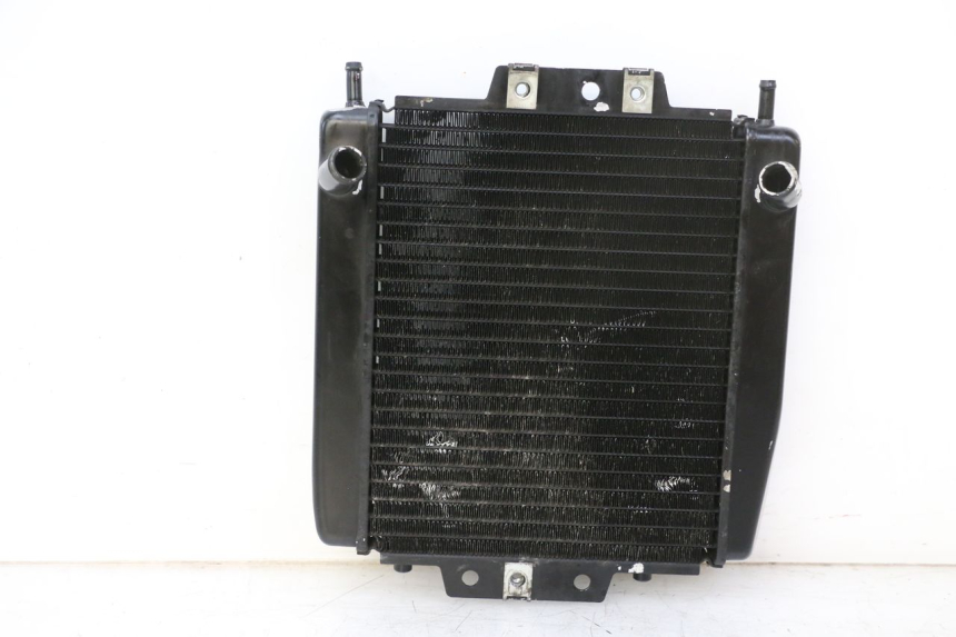 photo de RADIATEUR PIAGGIO MP3 RL 250 (2007 - 2010)